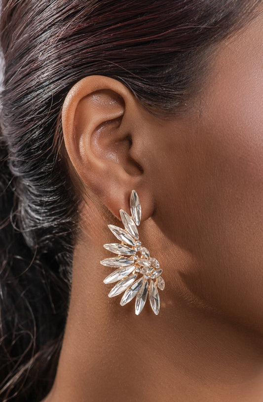 Crystal Burst Earrings